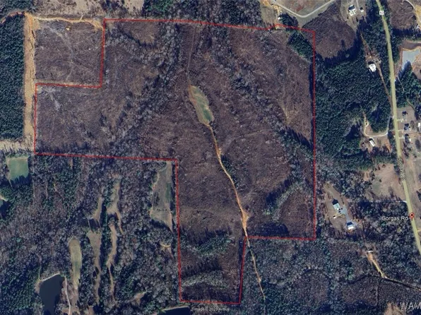 0 Gorgas Rd, Berry, AL 35546