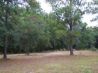 6889 NW 25th St, Bell, FL 32619