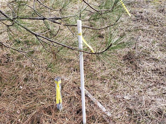 4th image of 1395 Ponderosa Way Lot 60