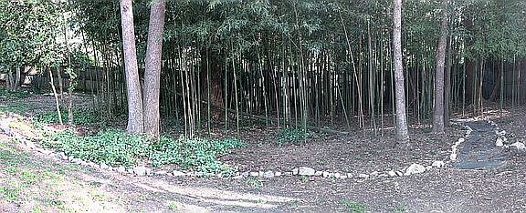 4th image of 3031 Appleford Dr