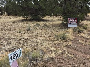 LOT 160 Driftwood Ct, Quemado, NM 87829