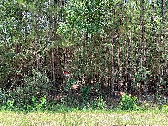2nd image of 100 Bobby Jones Dr