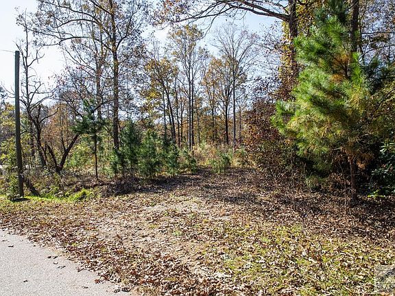 5th image of 252 Knottywood Dr
