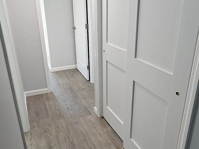 Downstairs hallway - with doors to under the stairs storage