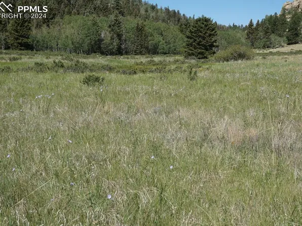 321 Forest Ln, Lake George, CO 80827