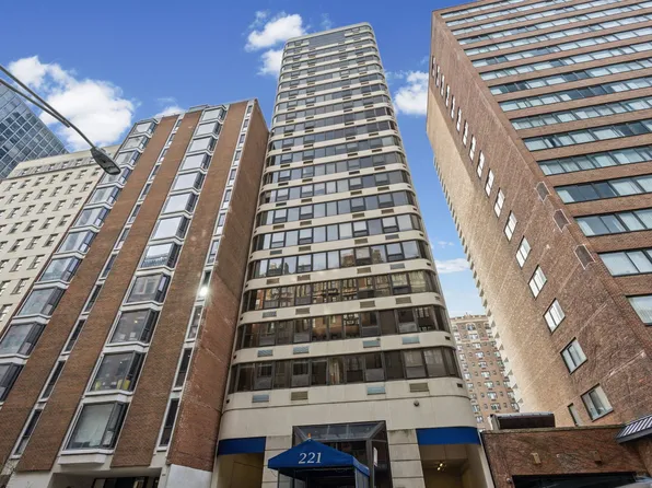 221 E Walton Pl APT 13C, Chicago, IL 60611