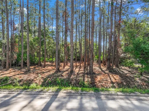 2679 Forest Park St Lot 6, Bunnell, FL 32110