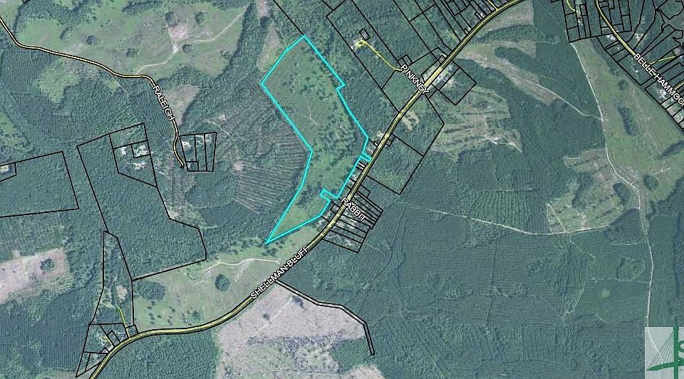 0 Shellman Bluff Rd NE, Townsend, GA 31331 Zillow