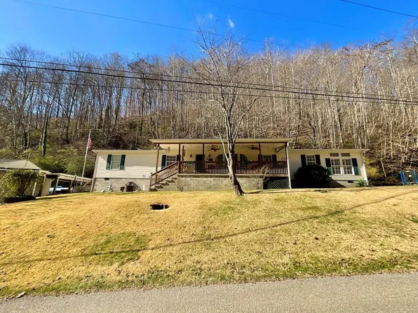 529 Hatfield Br, Mc Carr, KY 41544