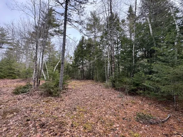 15 Bufford Drive, Waltham, ME 04605