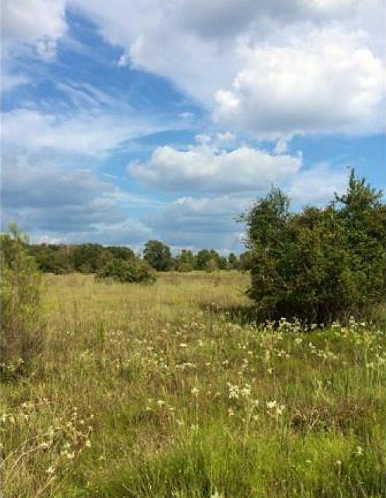1st image of 619 County Road 407