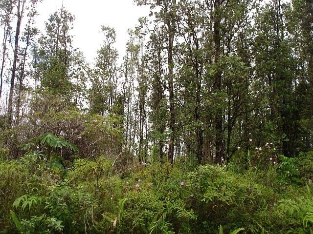 1st image of Sandalwood Dr Lot 32