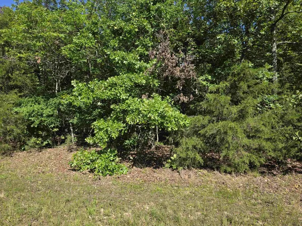 L-52 Barnes Rd, Evening Shade, AR 72532