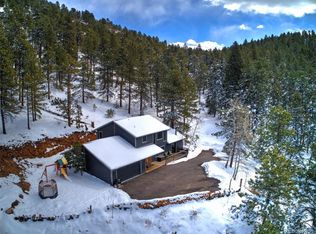 9690 Highway 73 #D202, Conifer, CO 80433