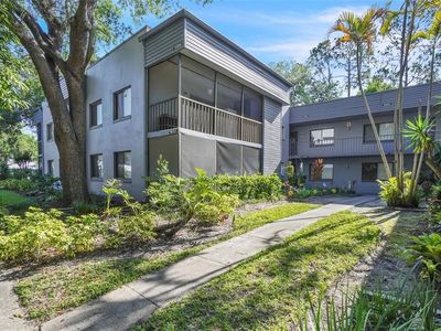 2329 Oak Park Way #204, Orlando, FL, 32822