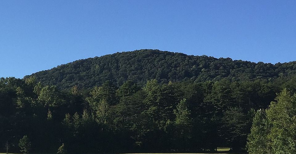 Summer on Brown's Mtn