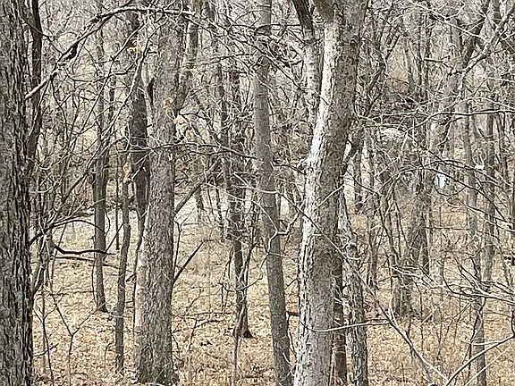 5th image of 828 NE Emily Ln