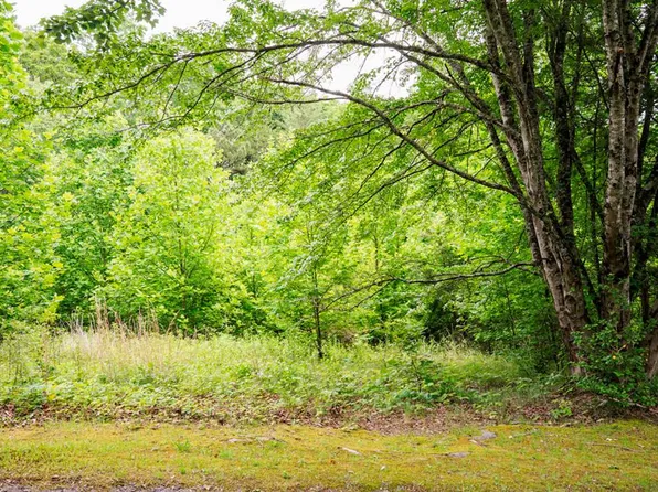 29 Hidden Forest Ln, Hayesville, NC 28904