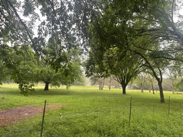 Pecan, China Spring, TX 76633