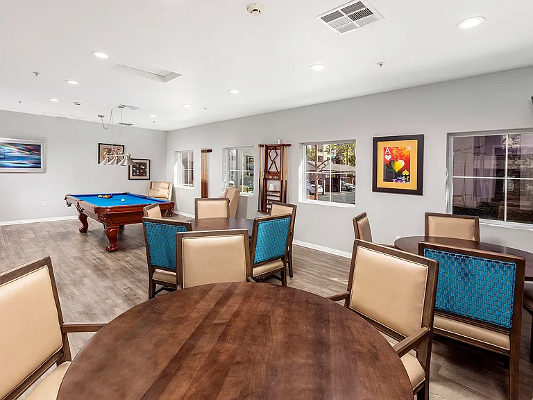 Billiard and Game Room