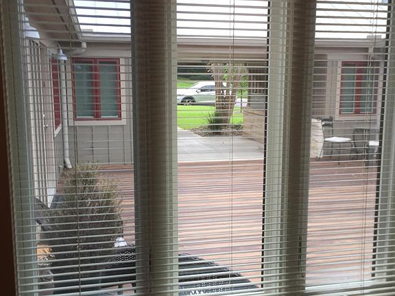 View from Living Room