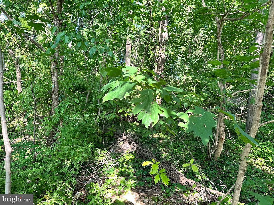 2nd image of Bryan Avenue Lot #82