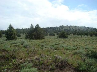 0 Raccoon Rd, Termo, CA 96132