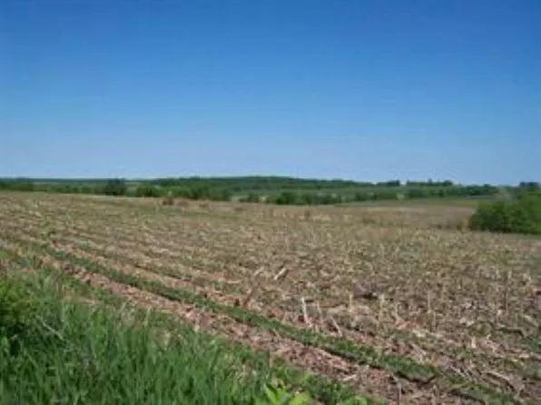 Winnesheik Rd, Ridott, IL 61067