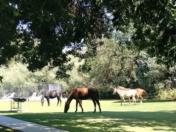 Apn Only, Hornbrook, CA 96044
