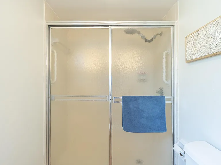 Walk in shower in master bathroom