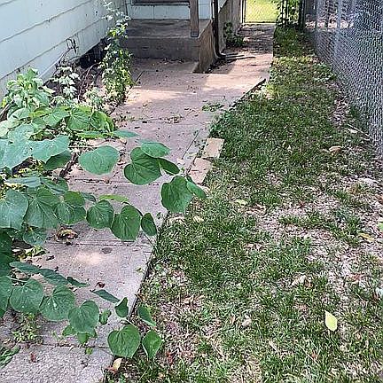 5th image of 819 Dakota St