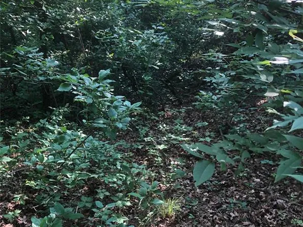 E Crosstimber Ln Lot 7, Hominy, OK 74035