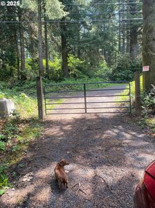 Highway 101n, North Bend, OR, 97459