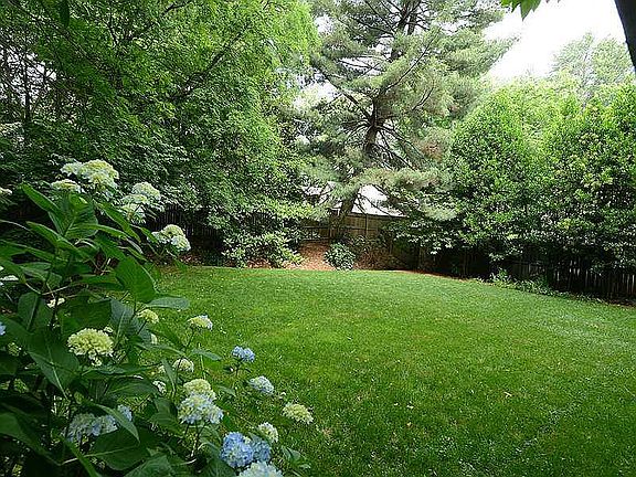 All fenced in back yard