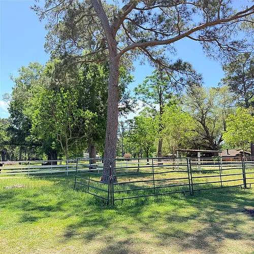 26427 1/2 Dobbin Huffsmith Rd Photo 1 26427 1/2 Dobbin Huffsmith Rd Photo 1