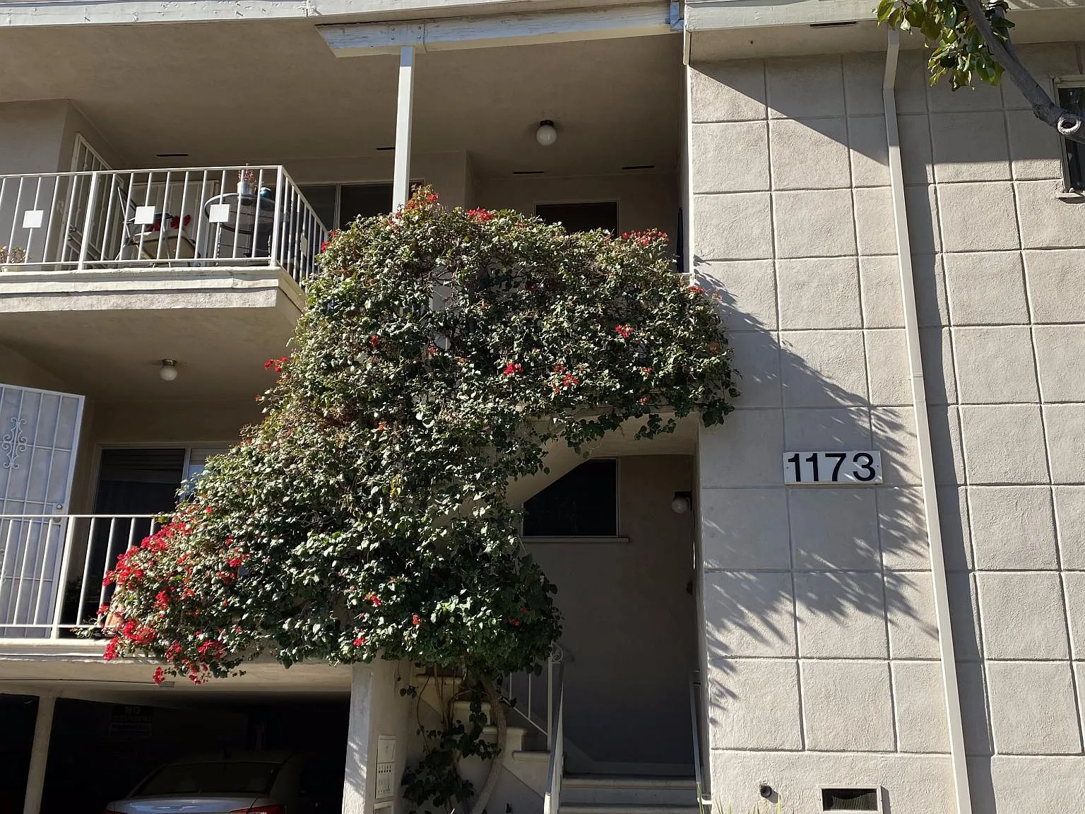 1 bed, 750 sqft, $2,395 — Photo 4