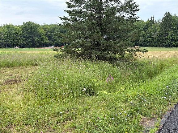 4th image of 6569 Ives Rd