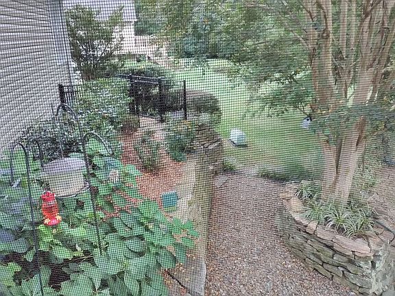 Backyard walkway