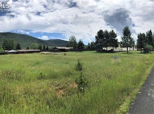 1013 N Baldwin St, Woodland Park, CO 80863