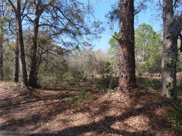 6507 E Banyan Pl, Sebring, FL 33875