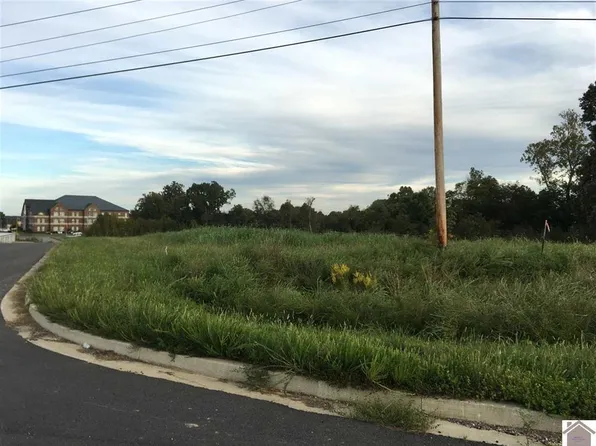 7 Tract Access Rd, Benton, KY 42025