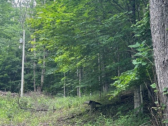 5th image of TBD CHESTNUT GROVE Road