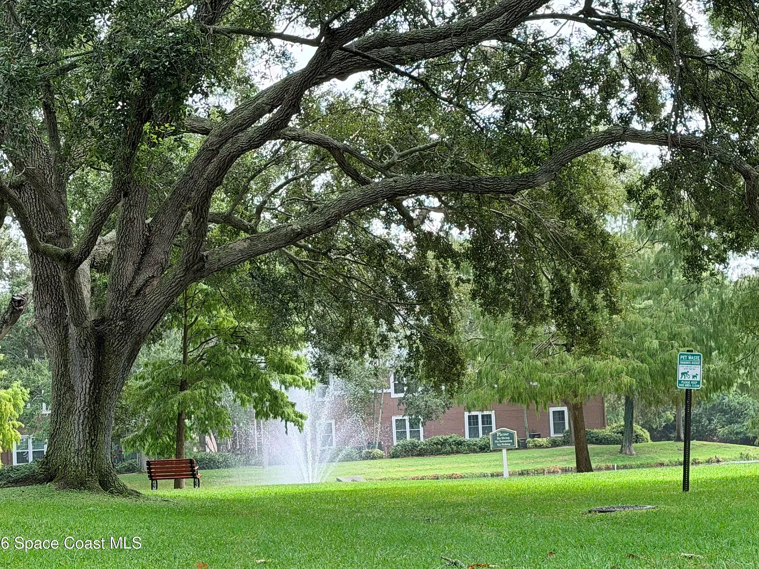 1 bed, 1.0 bath, 752 sqft, $1,300 — Photo 3