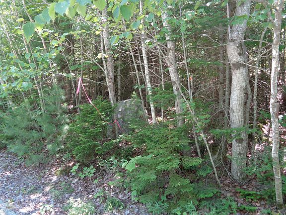 5th image of Lot 1 Bailey Mountain Road