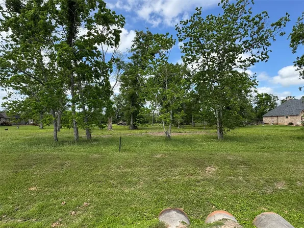 17114 Hamill Dr, Rosharon, TX 77583
