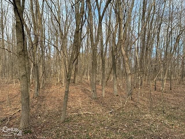 1st image of 0 Marshall Rd
