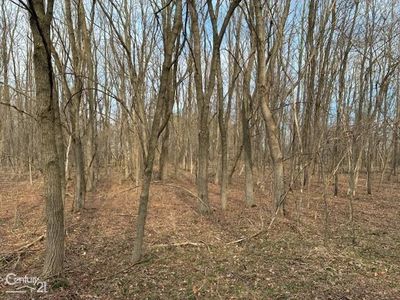 0 Marshall Rd, South Lyon, MI, 48178