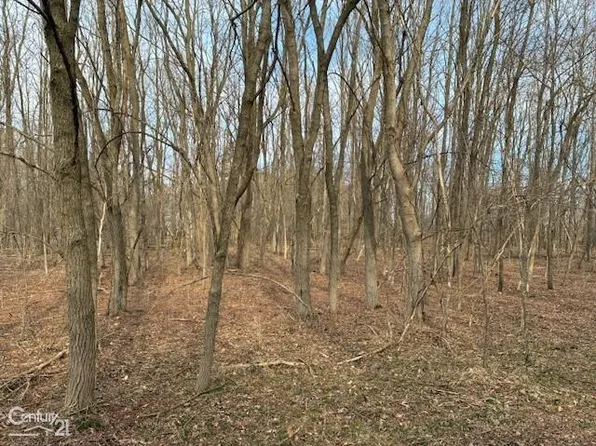 0 Marshall Rd, South Lyon, MI 48178