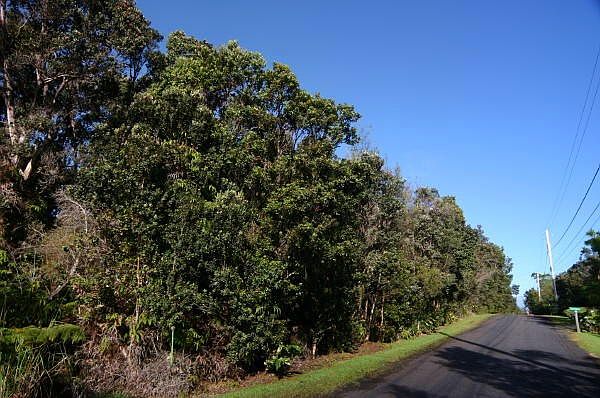 1st image of Kekoanui St Lot 3
