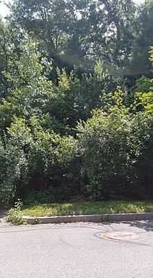 4th image of 64 Puritan Pl